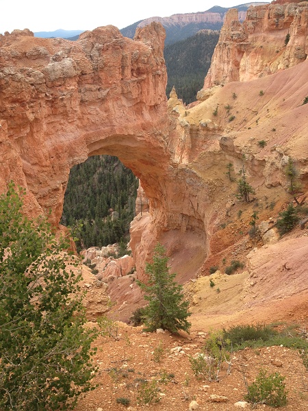 IMG 1828_Bryce_Can_natural_port